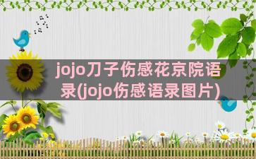 jojo刀子伤感花京院语录(jojo伤感语录图片)