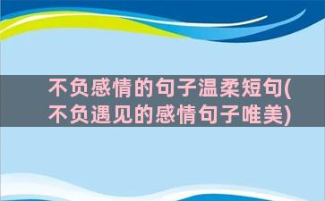 不负感情的句子温柔短句(不负遇见的感情句子唯美)