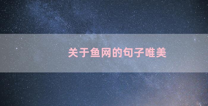 关于鱼网的句子唯美