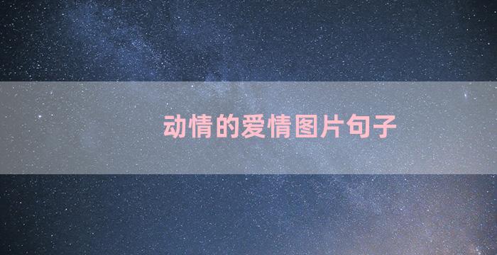 动情的爱情图片句子