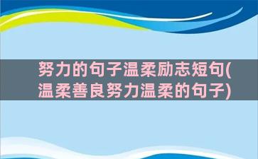 努力的句子温柔励志短句(温柔善良努力温柔的句子)