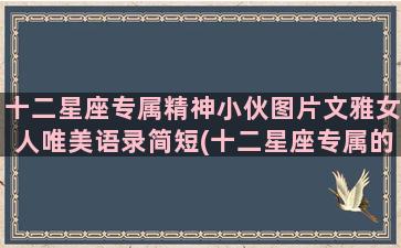 十二星座专属精神小伙图片文雅女人唯美语录简短(十二星座专属的坐骑)