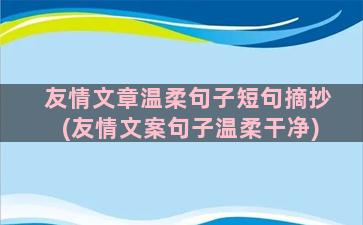 友情文章温柔句子短句摘抄(友情文案句子温柔干净)