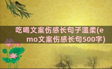 吃喝文案伤感长句子温柔(emo文案伤感长句500字)