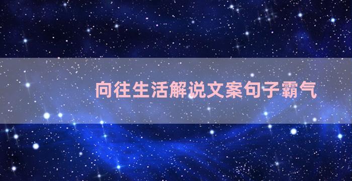 向往生活解说文案句子霸气