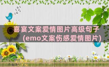 喜宴文案爱情图片高级句子(emo文案伤感爱情图片)