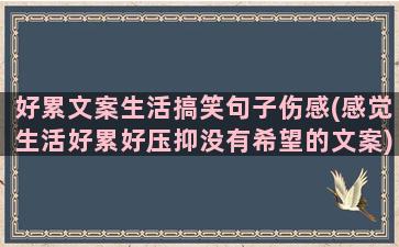 好累文案生活搞笑句子伤感(感觉生活好累好压抑没有希望的文案)