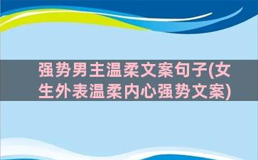 强势男主温柔文案句子(女生外表温柔内心强势文案)