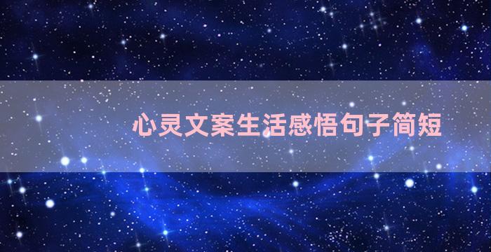 心灵文案生活感悟句子简短