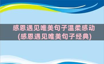 感恩遇见唯美句子温柔感动(感恩遇见唯美句子经典)