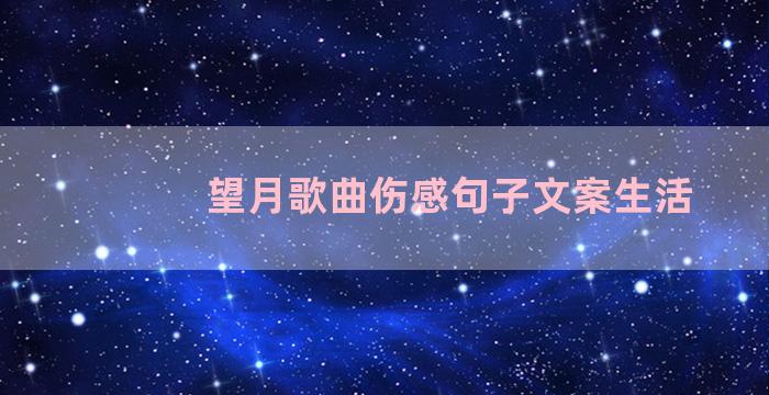 望月歌曲伤感句子文案生活