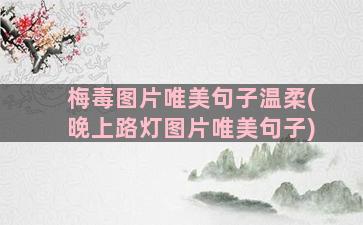 梅毒图片唯美句子温柔(晚上路灯图片唯美句子)