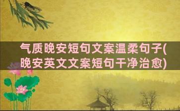 气质晚安短句文案温柔句子(晚安英文文案短句干净治愈)