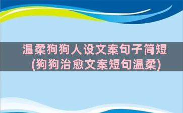 温柔狗狗人设文案句子简短(狗狗治愈文案短句温柔)