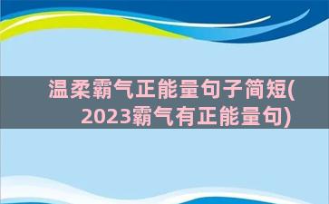 温柔霸气正能量句子简短(2023霸气有正能量句)