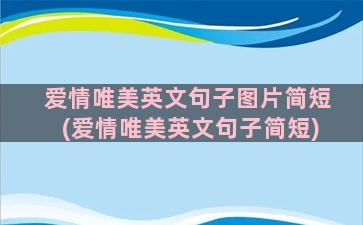 爱情唯美英文句子图片简短(爱情唯美英文句子简短)