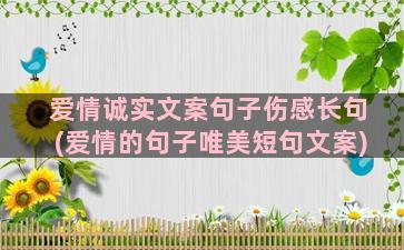 爱情诚实文案句子伤感长句(爱情的句子唯美短句文案)