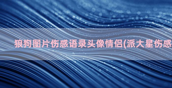 狼狗图片伤感语录头像情侣(派大星伤感语录图片)