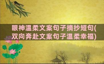 眼神温柔文案句子摘抄短句(双向奔赴文案句子温柔幸福)