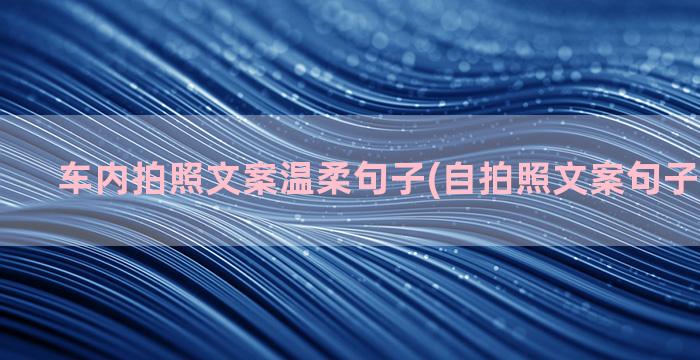 车内拍照文案温柔句子(自拍照文案句子温柔霸气)