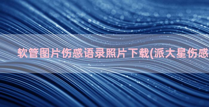 软管图片伤感语录照片下载(派大星伤感语录图片)