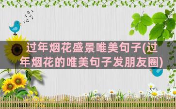 过年烟花盛景唯美句子(过年烟花的唯美句子发朋友圈)