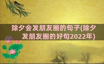 除夕会发朋友圈的句子(除夕发朋友圈的好句2022年)