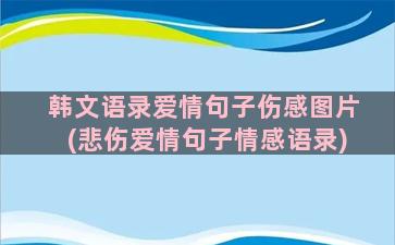 韩文语录爱情句子伤感图片(悲伤爱情句子情感语录)