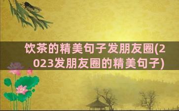 饮茶的精美句子发朋友圈(2023发朋友圈的精美句子)