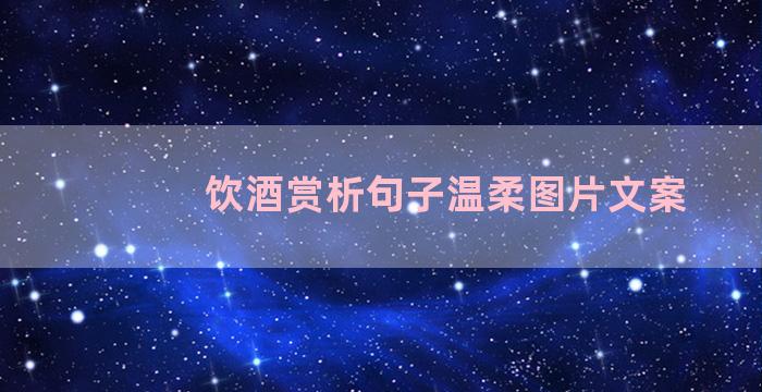 饮酒赏析句子温柔图片文案